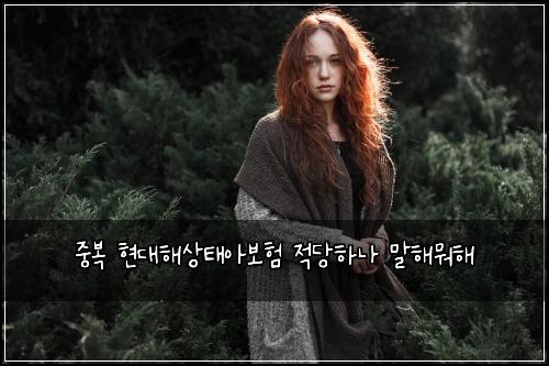 중복 현대해상태아보험 적당하나  말해뭐해
