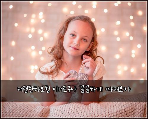 저렴한차보험 이거로구나  꼼꼼하게 따져보자