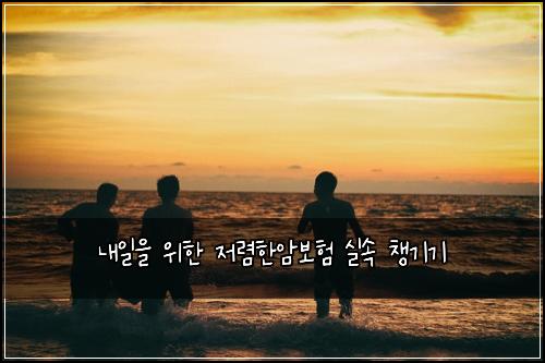 내일을 위한 저렴한암보험 실속 챙기기