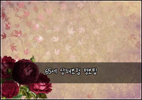 65세 상해보험 정보팁 