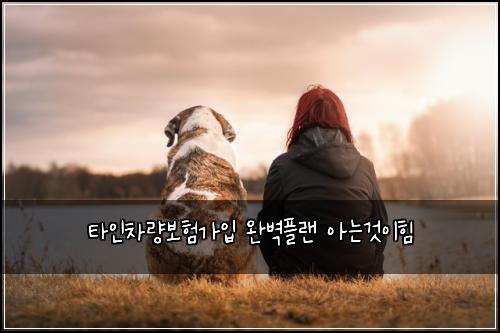 타인차량보험가입 완벽플랜 아는것이힘