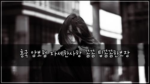 흥국 암보험 자세한사항  꼼꼼 팁꼼꼼한보장
