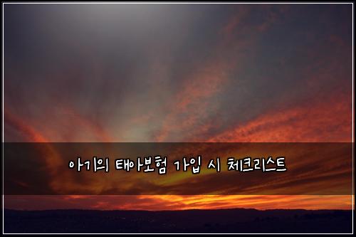 아기의 태아보험 가입 시 체크리스트