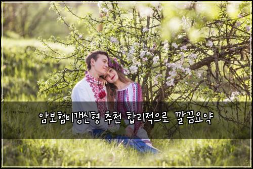 암보험비갱신형 추천 합리적으로 깔끔요약