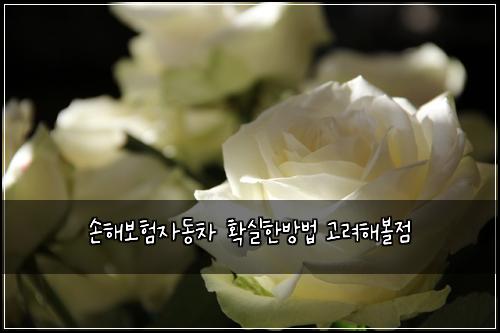 손해보험자동차 확실한방법 고려해볼점
