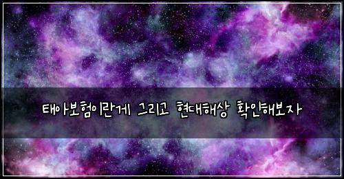태아보험이란게 그리고 현대해상 확인해보자