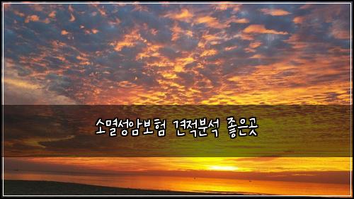 소멸성암보험 견적분석  좋은곳