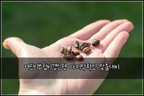 어린이보험비갱신형 마지막확인 맞춤대비