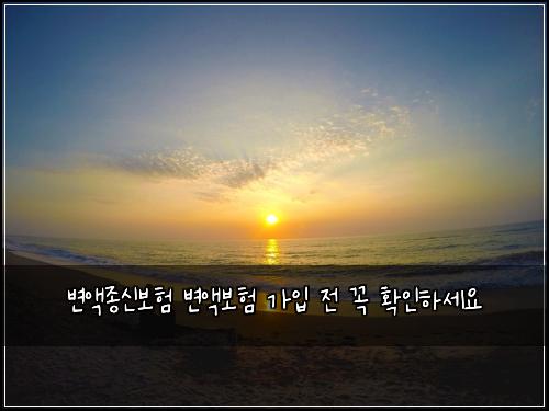변액종신보험 변액보험 가입 전 꼭 확인하세요