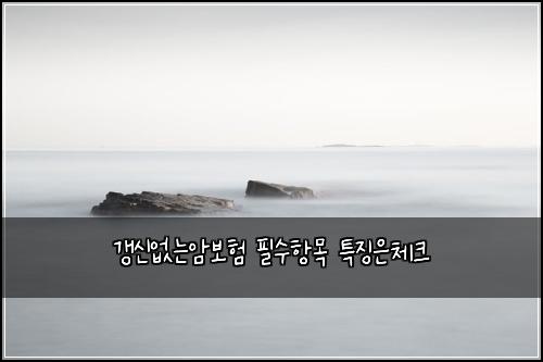 ๊ฐฑ์ ์๋์๋ณดํ ํ์ํญ๋ชฉ ํน์ง์์ฒดํฌ