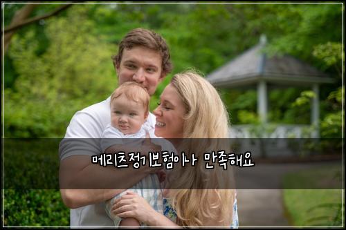 메리츠정기보험이나 만족해요