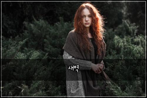 새벽