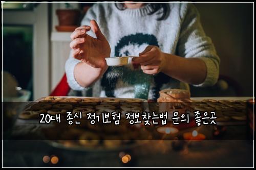 20대 종신 정기보험 정보찾는법  문의 좋은곳