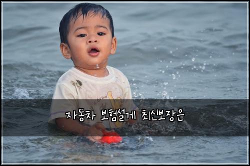 자동차 보험설게 최신보장은
