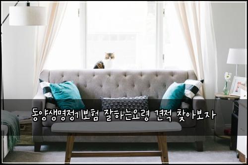 동양생명정기보험 잘하는요령  견적 찾아보자