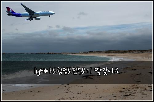 lig태아보험정보전부보기 딱맞아요