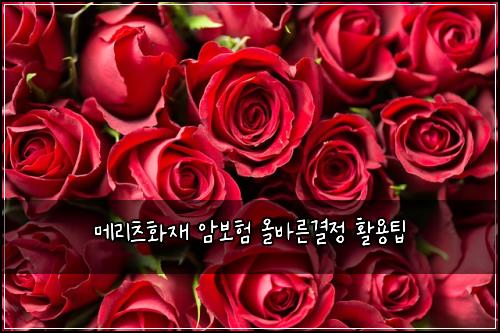 ๋ฉ๋ฆฌ์ธ ํ์ฌ ์๋ณดํ ์ฌ๋ฐ๋ฅธ๊ฒฐ์ ํ์ฉํ