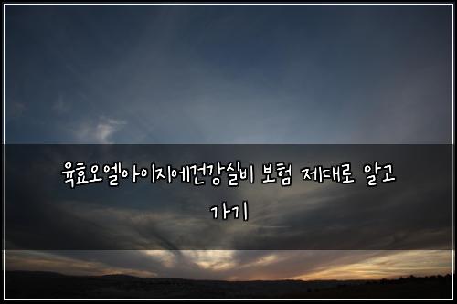 육효오엘아이지에건강실비 보험 제대로 알고 가기