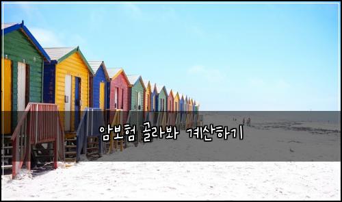 암보험 골라봐  계산하기