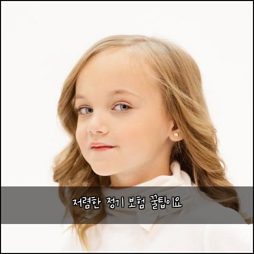 저렴한 정기 보험 꿀팁이요 