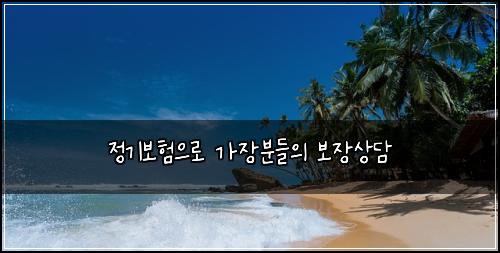 정기보험으로 가장분들의 보장상담