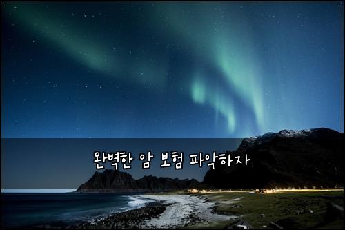 완벽한 암 보험 파악하자 