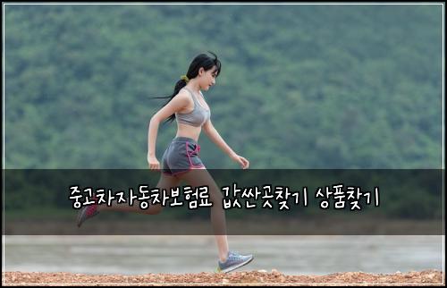중고차자동차보험료 값싼곳찾기 상품찾기