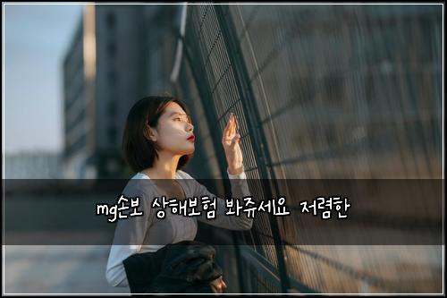 mg손보 상해보험 봐쥬세요  저렴한