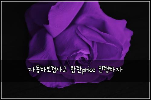 자동차보험사고 참한price 진행하자