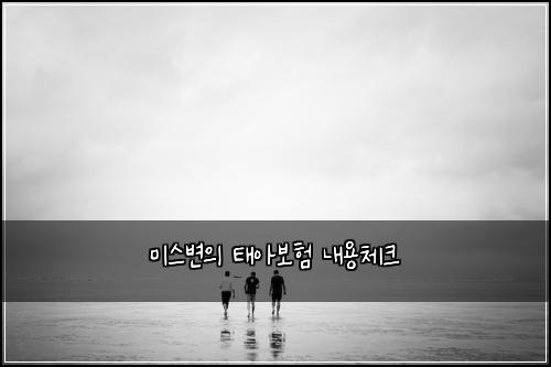 미스변의 태아보험 내용체크 