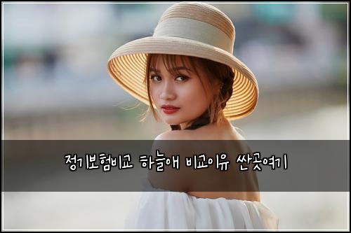 ์ ๊ธฐ๋ณดํ๋น๊ต ํ๋์ ๋น๊ต์ด์ ์ผ๊ณณ์ฌ๊ธฐ
