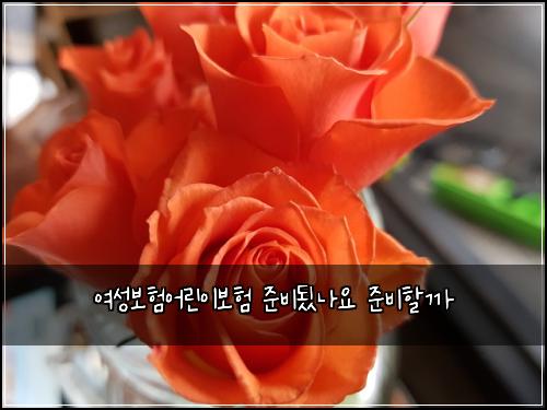 여성보험어린이보험 준비됬나요 준비할까
