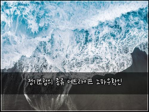 정기보험의 종류 메트라이프 노하우확인