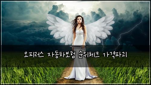 ์คํผ๋ฌ์ค ์๋์ฐจ๋ณดํ ์์์ฒดํฌ ๊ฐ๊ฒฉํ๊ดด