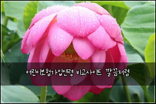 어린이보험가입연령 비교사이트 깔끔저렴