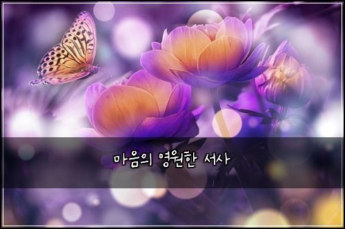 마음의 영원한 서사