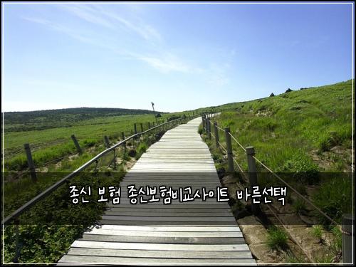 종신 보험 종신보험비교사이트 바른선택