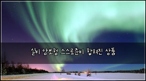 실비 암보험 스스로준비  합쳐진 상품
