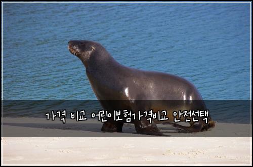 가격 비교 어린이보험가격비교 안전선택