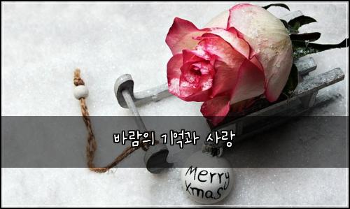 바람의 기억과 사랑
