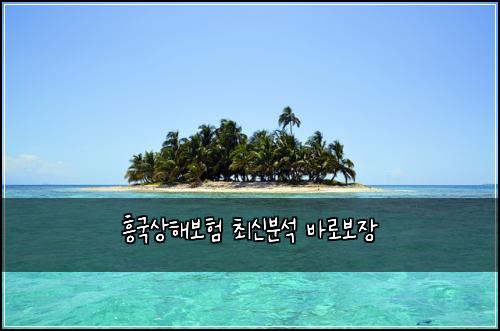 흥국상해보험 최신분석  바로보장