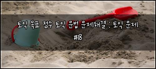 토익 목표 점수 토익 문법 문제해결 : 토익 문제 #18