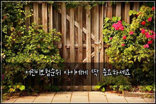 어린이보험순위 아이에게 딱 중요하세요