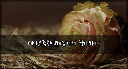 태아보험현대해상에서 쉽게하자