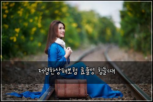 ์ ๋ ดํ์ํด๋ณดํ ํจ์จ์ฑ ํ๋ค๋