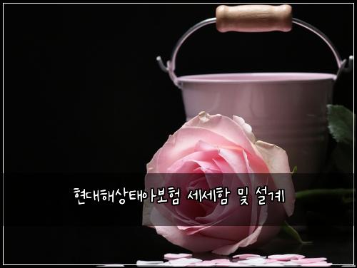 현대해상태아보험 세세함  및 설계