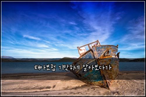 태아보험 기막히네  알아보다가