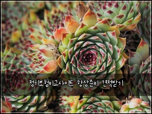 정기보험비교사이트 항상준비 견적받기