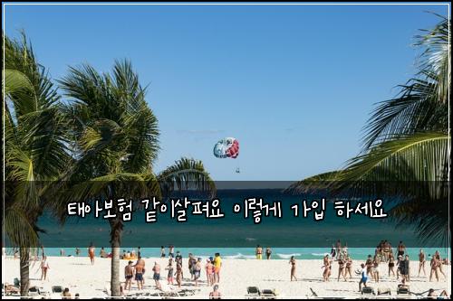 태아보험 같이살펴요  이렇게 가입 하세요