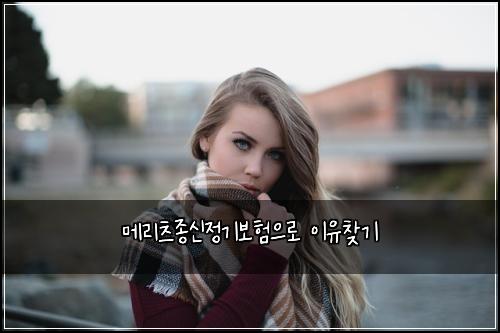 메리츠종신정기보험으로 이유찾기